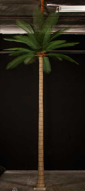 image of an artificial palm tree