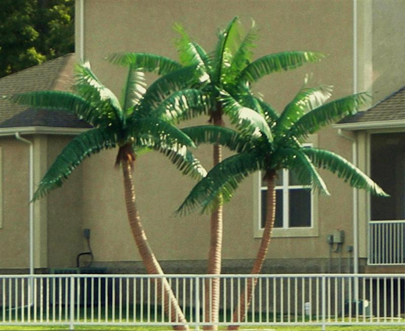 Custom Made Palm Trees - Putdoor Palms