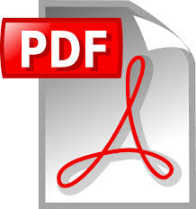 image of a pdf file