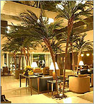 Click here to see our line of Indoor Fake Palm Trees