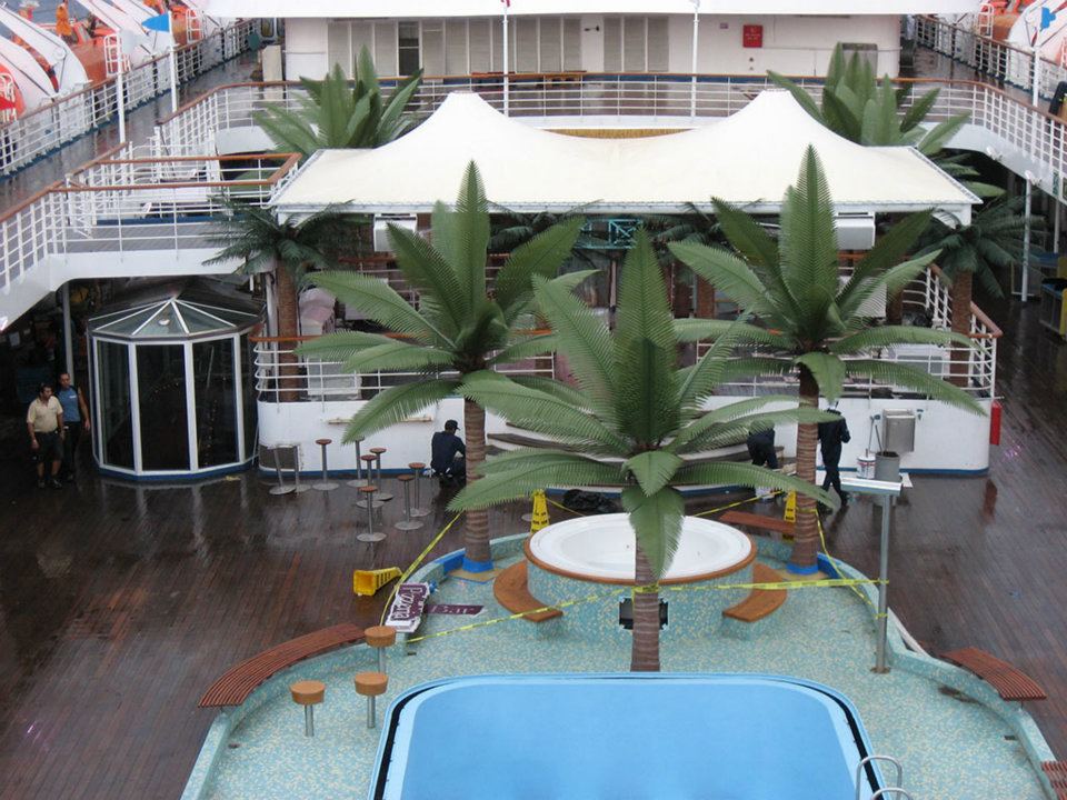 image of exterior artificial palm trees
