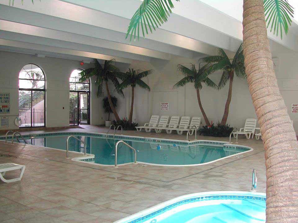 images of palm trees inside an indoor pool area