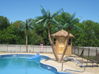 image of a fabricated palm tree
