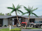 image of a artificial palm tree