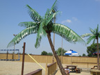 image of a replica artificial palm tree