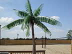 image of a replica palm tree