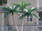 image of a artificial palm tree
