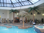 image of an artificial palm tree poolside