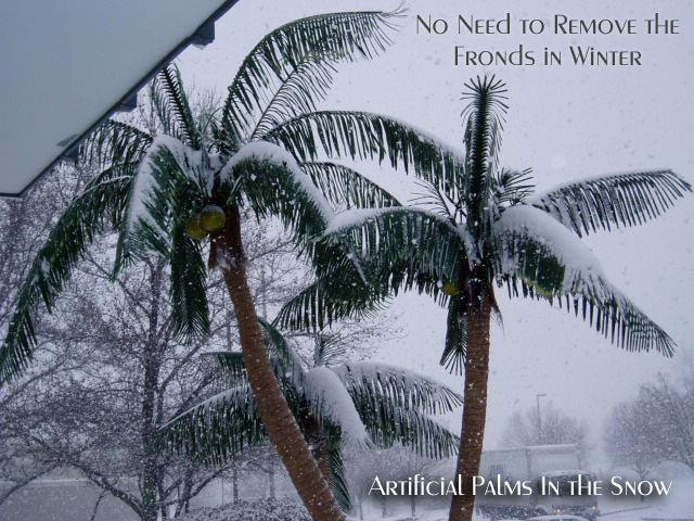 image of snow covering a fake palm tree