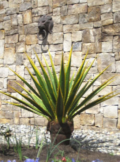 image of a fabricated tropical plant