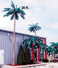 Custom Made Palm Trees Trunks