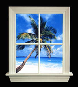 Tropical Illuminating Window Pictures