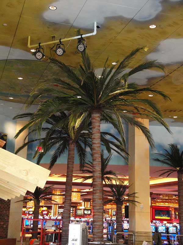 image of 3 fabricated palm trees inside a building