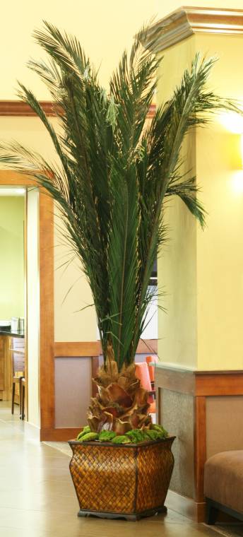 image of fabricated interior Palm tree