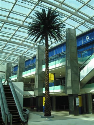 image of a tall artificial interior palm tree